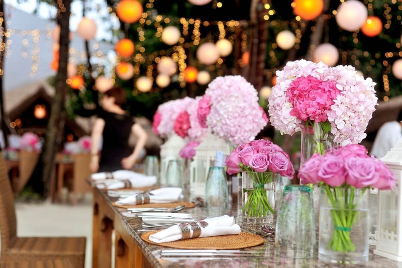 Bohemian Bliss
